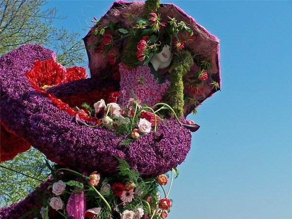 фестиваль цветов в голландии