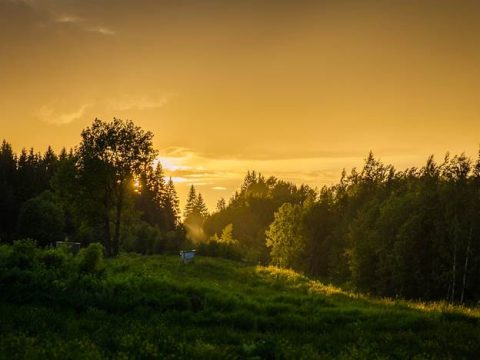 Закат в лесу фото