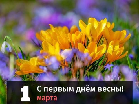 С первым днём весны поздравление