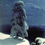 Шишкин. На севере диком