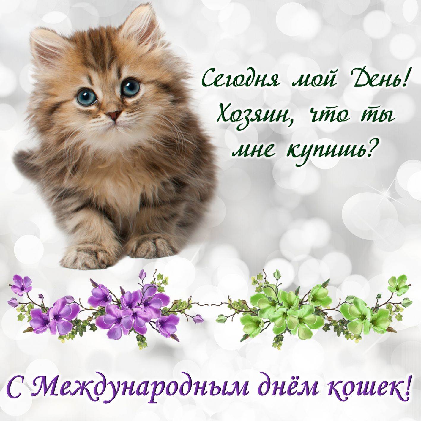Всемирный день кошек 2023. День кошек. Поздравление с днем кошек. День кошек поздравления открытки.