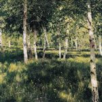 Берёзовая Роща картина Левитана