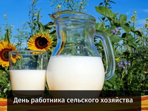 День работника сельского хозяйства картинка