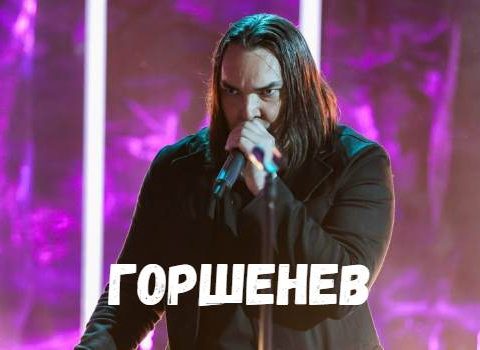 Горшенев концерт фото