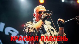 Красная плесень концерт фото