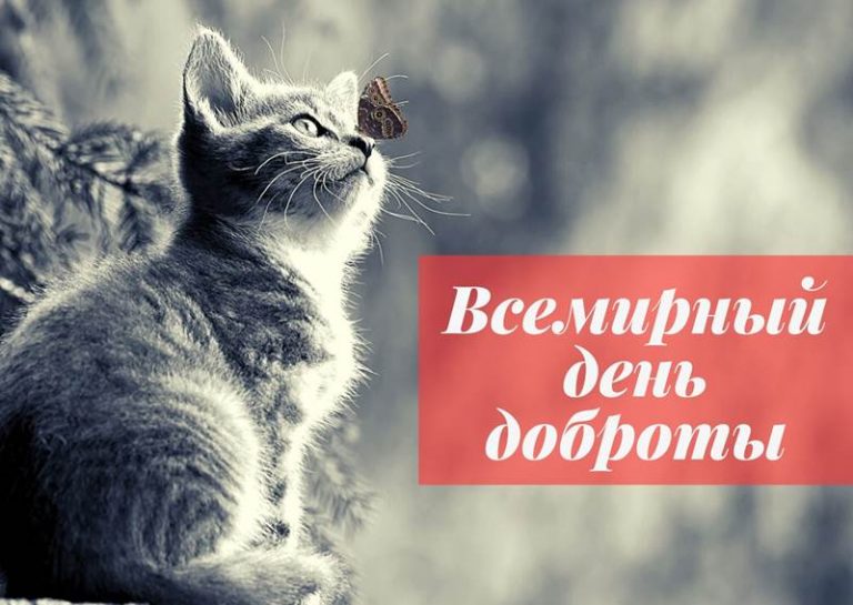 Всемирный день доброты картинка