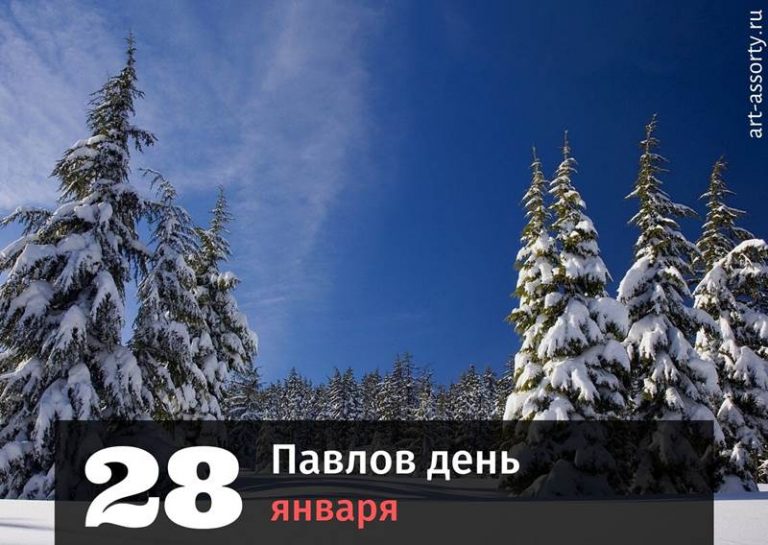 Павлов день картинка