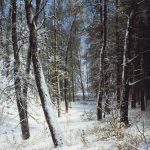 Картина Шишкина Зима в лесу. Иней