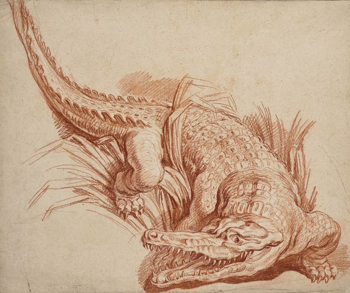 Франсуа Буше крокодил рисунок