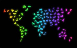 Животные на карте мира