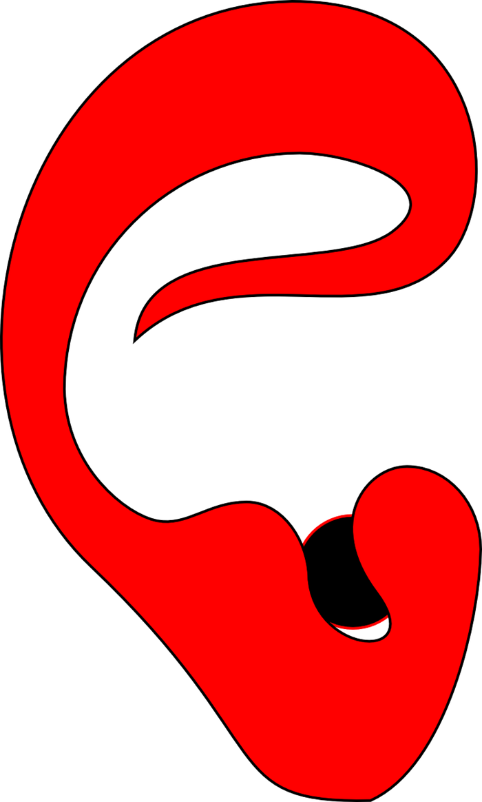 Ушная раковина рисунок