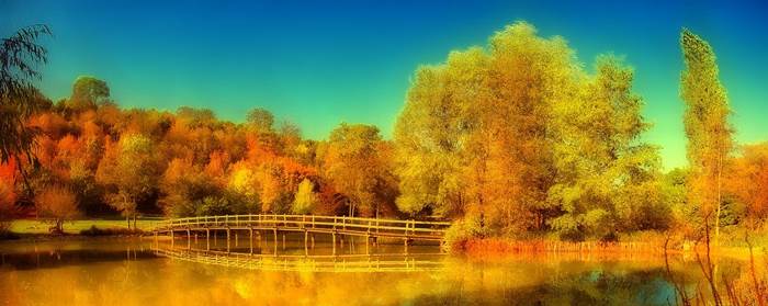 Осенний пейзаж на озере