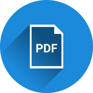 Формат Pdf