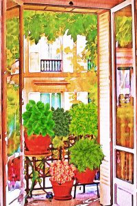 Комнатные цветы на балконе