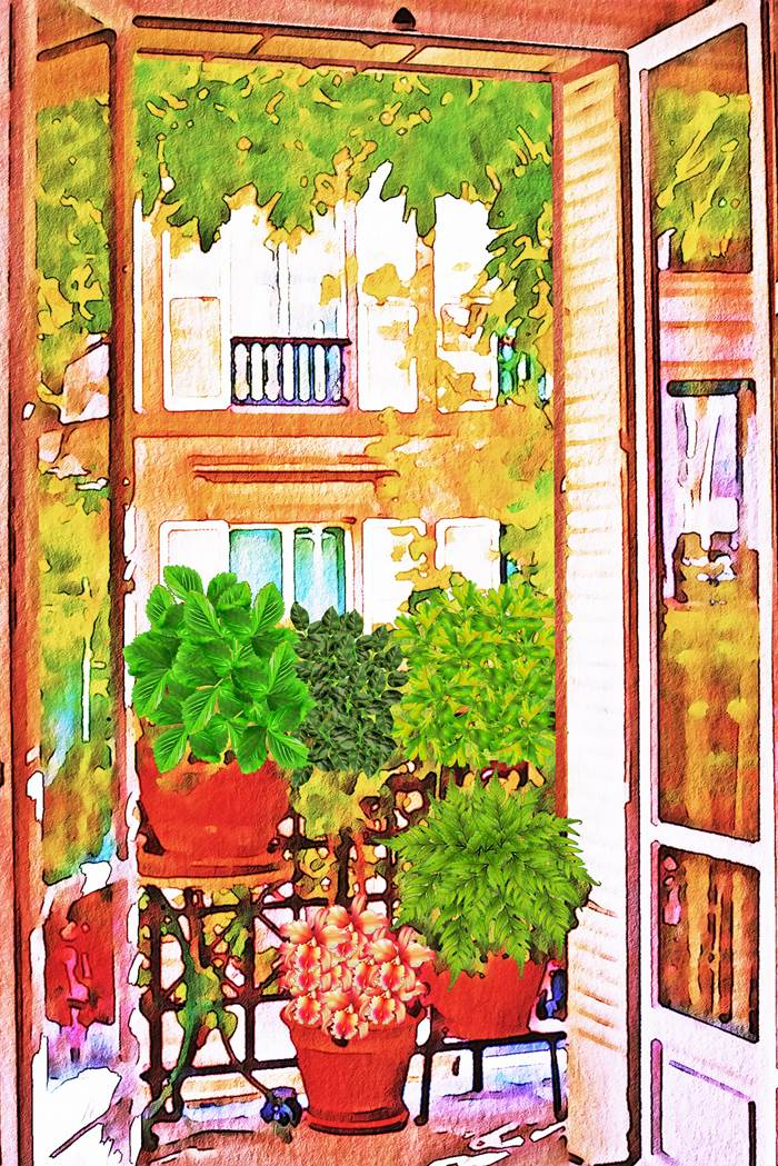 Комнатные цветы на балконе