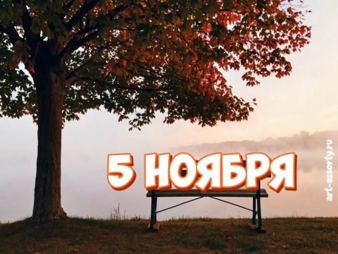 5 ноября