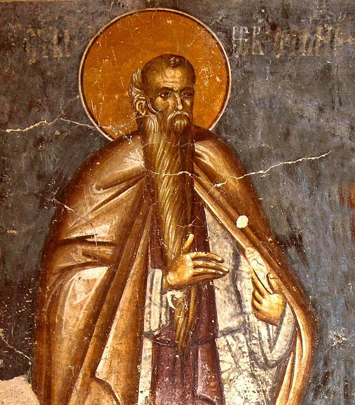 Святой преподобный Евфимий Великий икона