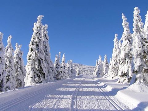 Зимняя заснеженная дорога в лесу