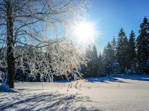 Солнечный день зимой