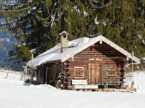 Деревянный дом зимой на окраине леса