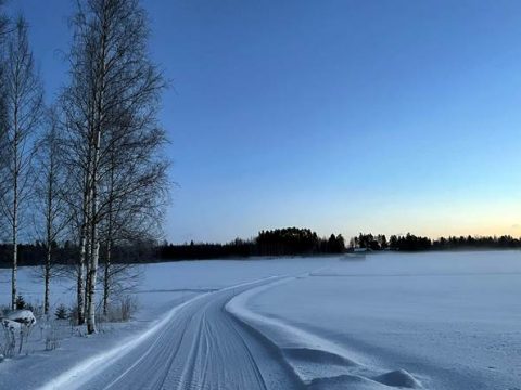 Дорога через заснеженное поле