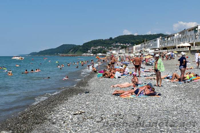 Отдых на курорте в Сочи