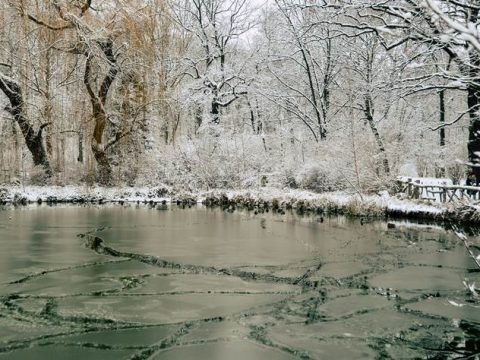 Река весной