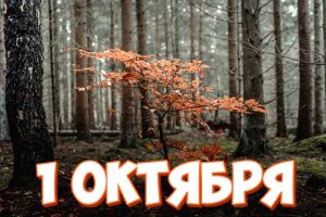 1 октября