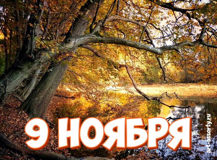 Какой праздник 9. Ноябрь звери. Церковные праздники в ноябре 2022. Завтра ноябрь. Религиозные праздники в ноябре 2022.