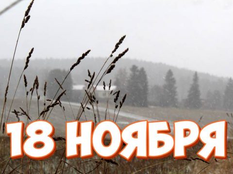 18 ноября