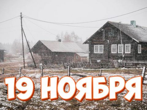 19 ноября