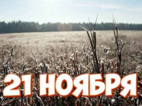 21 ноября