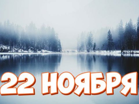 22 ноября