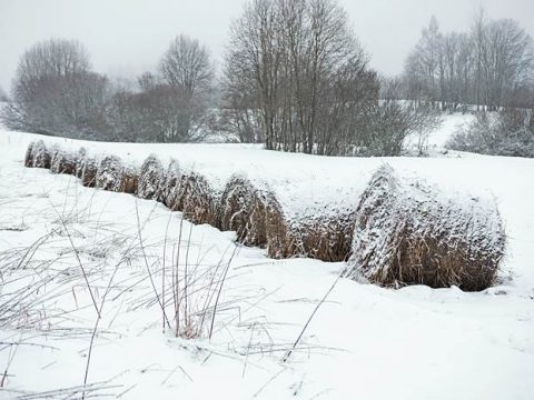 Зимнее поле, февраль в деревне