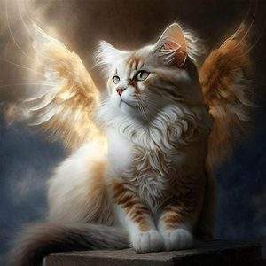 Кошачий ангел