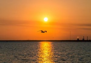 Финский залив в Санкт-Петербурге