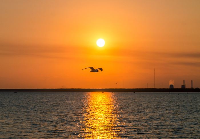 Финский залив в Санкт-Петербурге