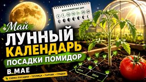 Лунный календарь посадки помидор в мае